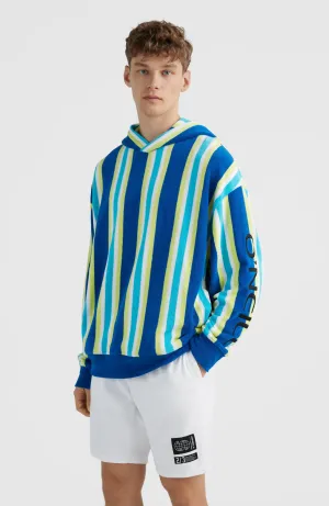 Brights Terry Kapuzenpullover | Blue Towel Stripe