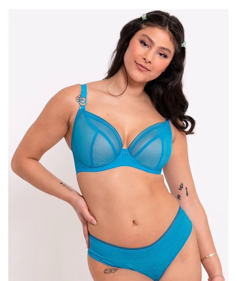 Curvy Kate Lifestyle Plunge Bra - Capri Blue