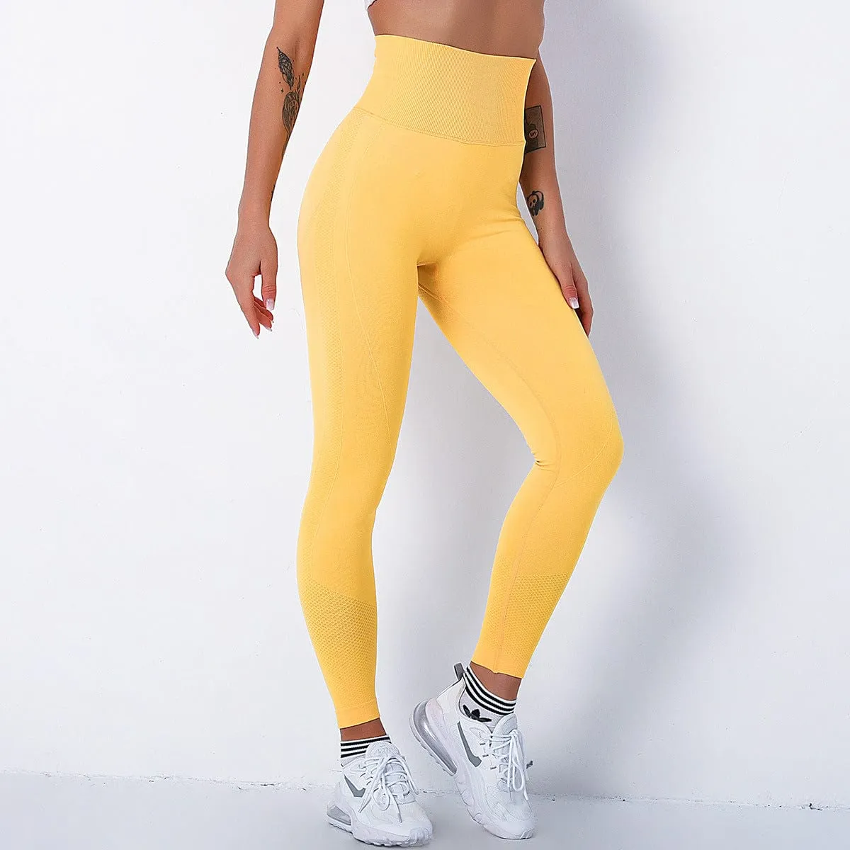 EnergyLeg Seamless Sports Leggings