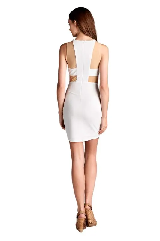 Fitted Sheer Panel Dress