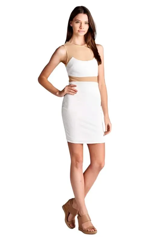 Fitted Sheer Panel Dress
