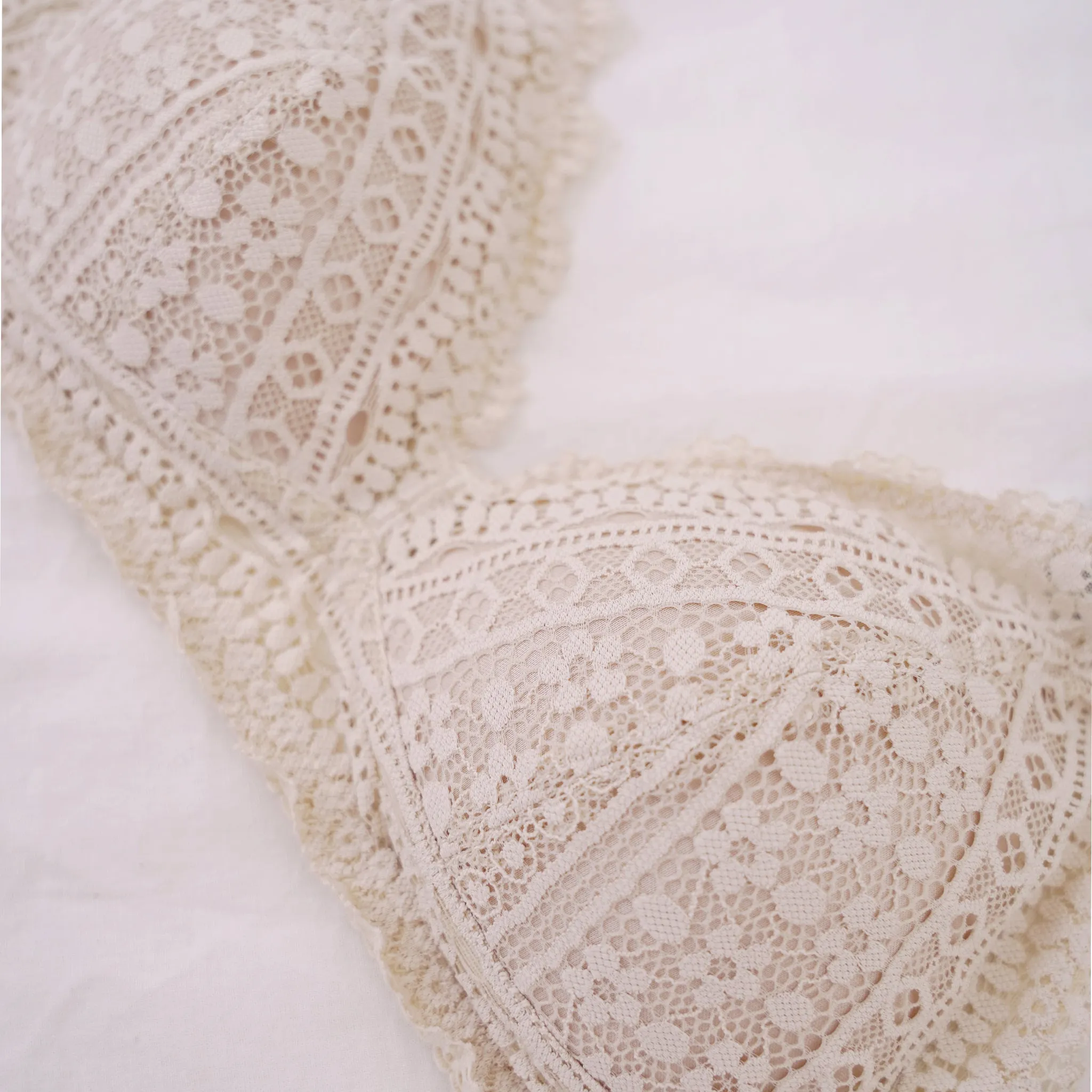 Hoppy Poppy! V2.0 Seamless Lightly-Lined Lace Bralette in Black