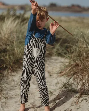 Multicolour Zebra Streak Print Dungarees