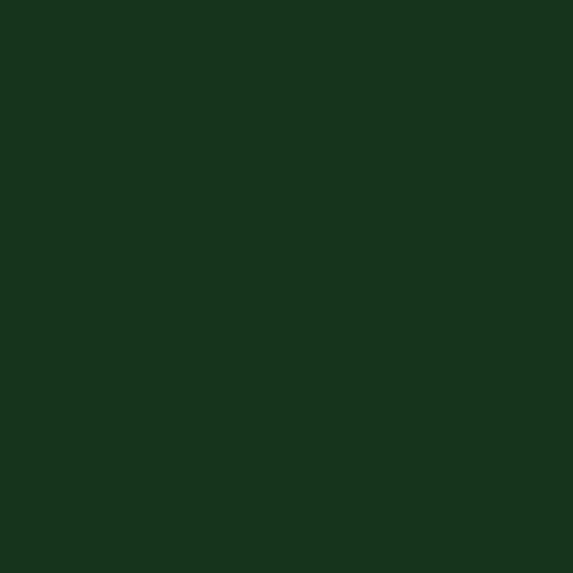 Solid Green W/Pockets Leggings