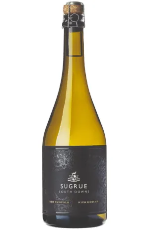 Sugrue The Trouble with Dreams 2017