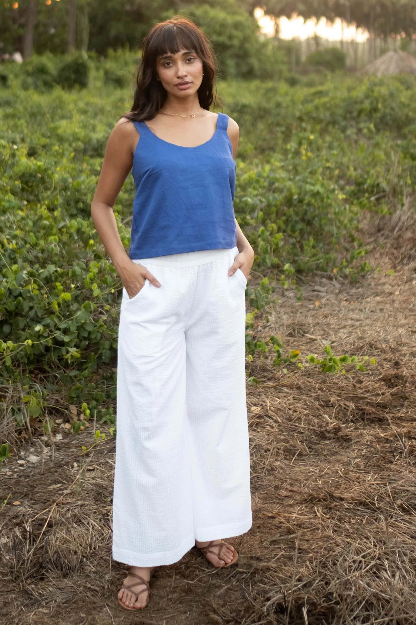The Hemp Tank