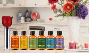 Ultrasonic Cool Mist Rose Aroma Diffuser with Essential Oils (7-Piece)