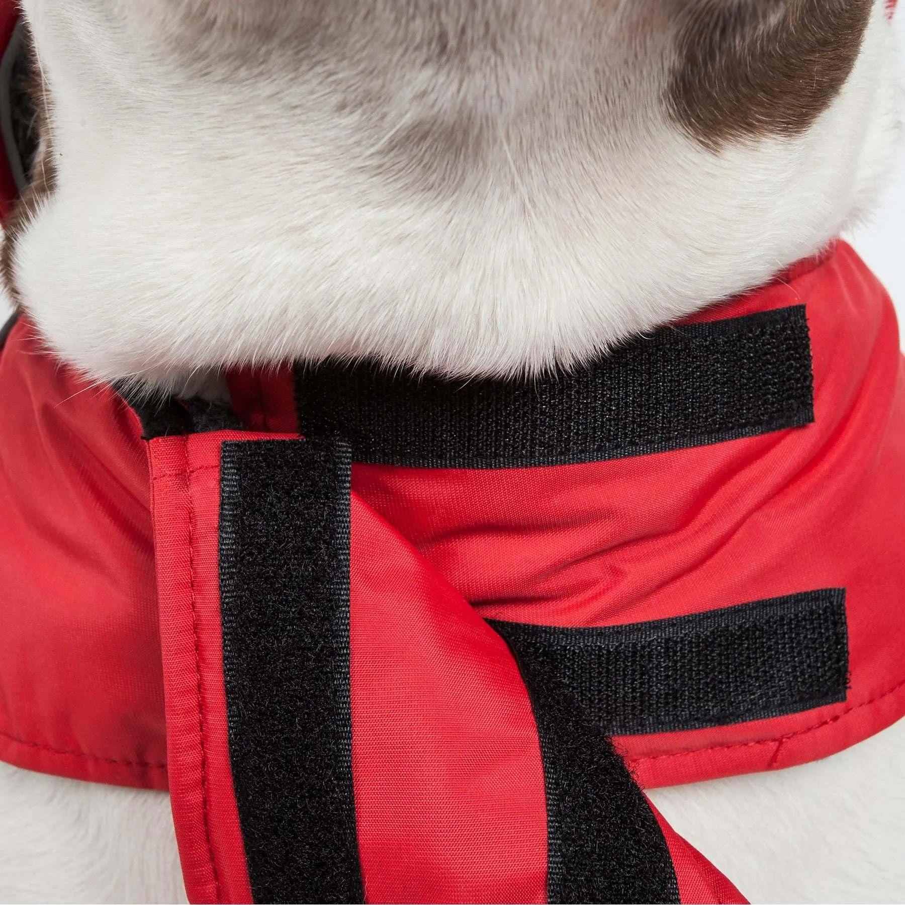 Waterproof Dog Jacket Fashion