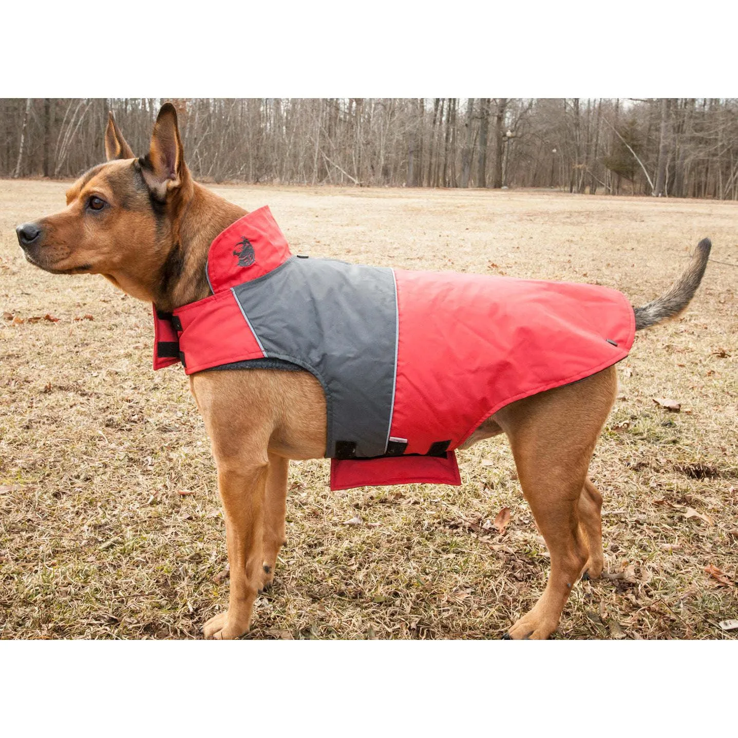 Waterproof Dog Jacket Fashion
